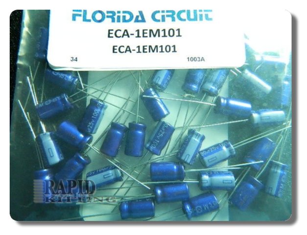 ECA-1EM101
